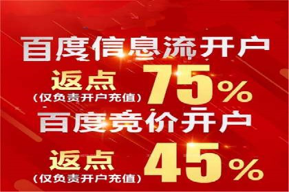 案例分析：打造高效竞价推广策略
